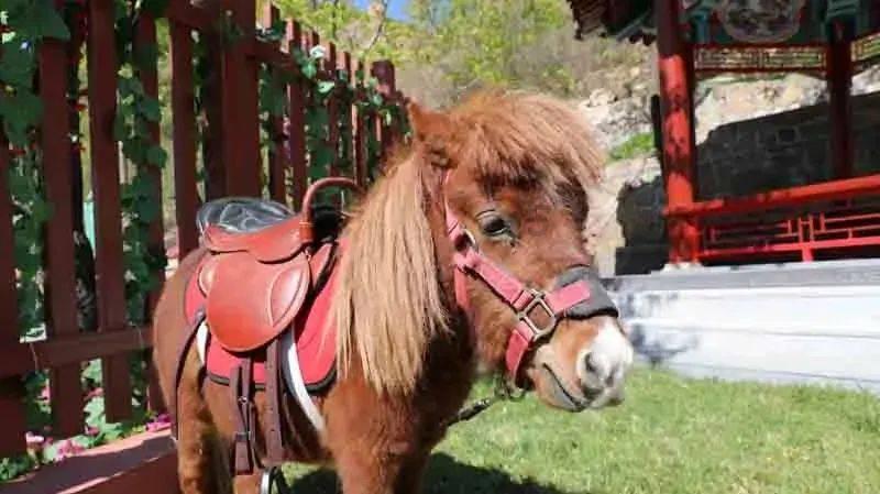 你知道山型圈运动油缸中的活塞密封都包含哪些部分吗?