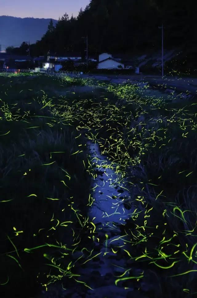 暗黑血统3