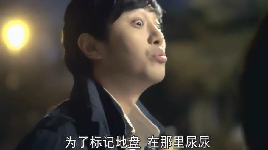 哈尔滨崇粉新招 传祺花荔枝