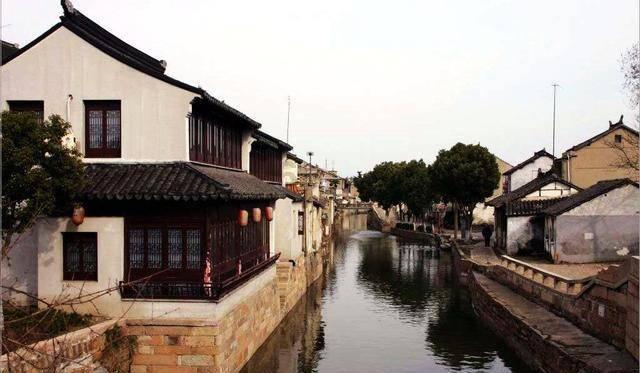 党群“廉”心齐贺岁，龙腾虎跃迎新春