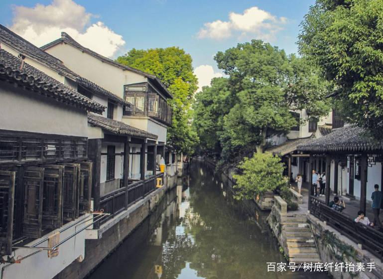 逃离变色龙森林